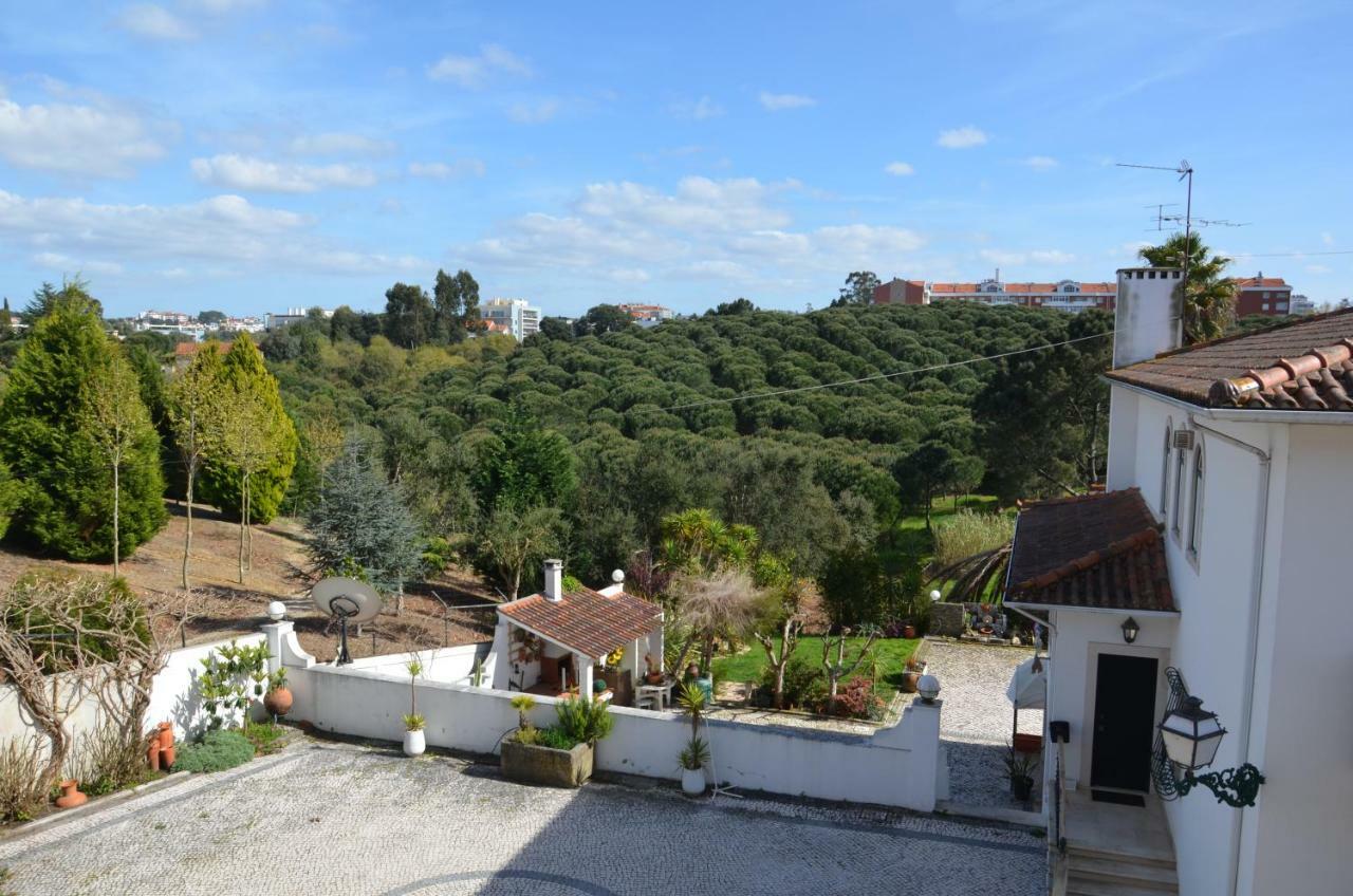 Casa Da Palmeira Leiria Exterior foto